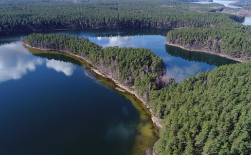 7_ščiurio ragas.jpg